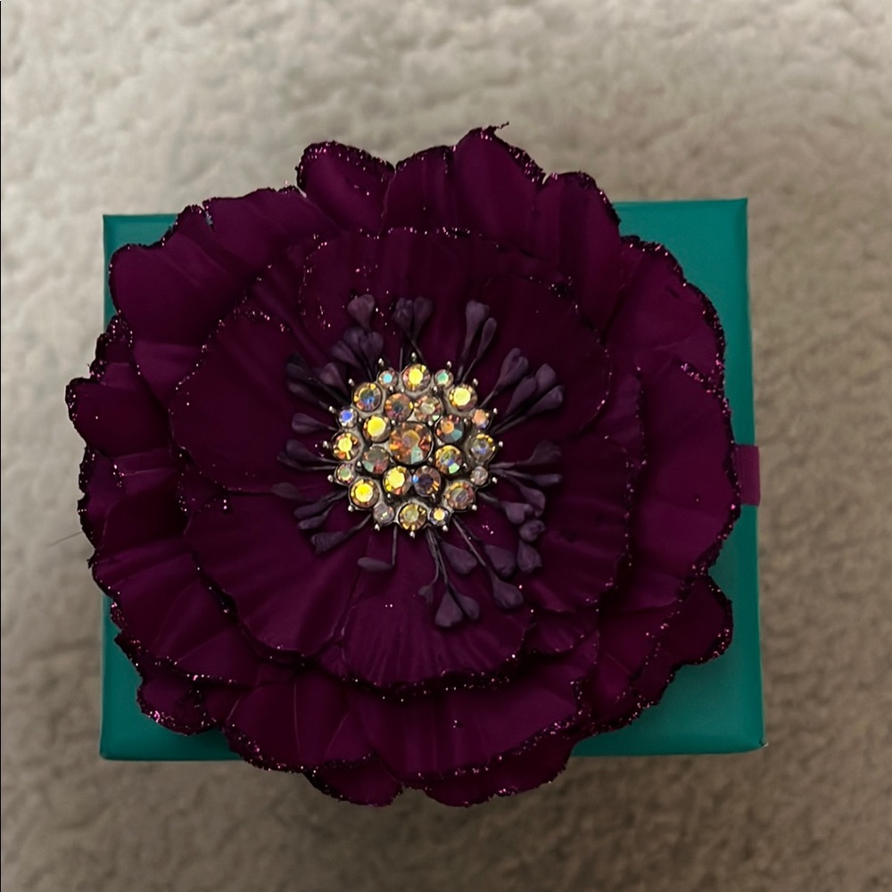 Tieks by Gavrieli Teal Box